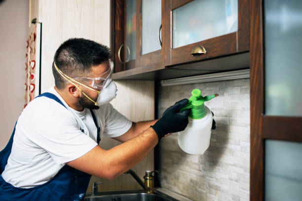 Best Termite Control Services  in Elwood, KS