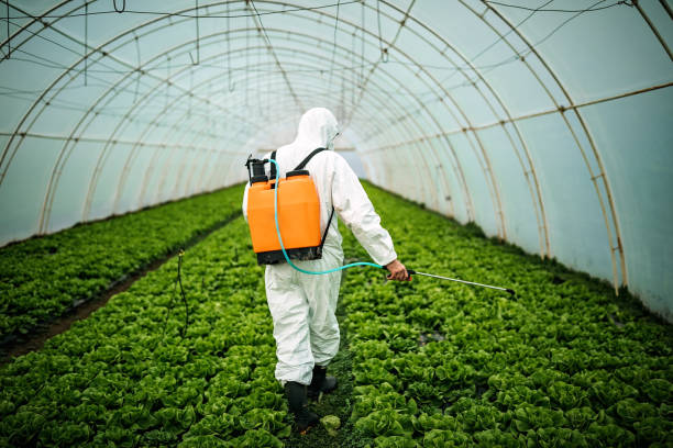 Best Best Pest Control Companies  in Elwood, KS