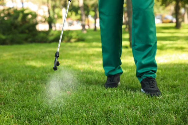 Best Affordable Pest Control Services  in Elwood, KS