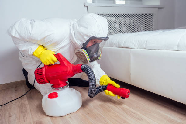 Best Pest Control Near Me in Elwood, KS