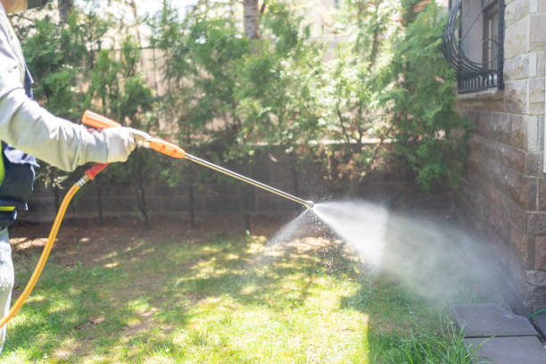 Best Exterminator Services  in Elwood, KS