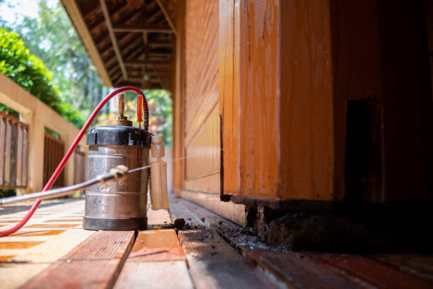 Pest Prevention Services in Elwood, KS