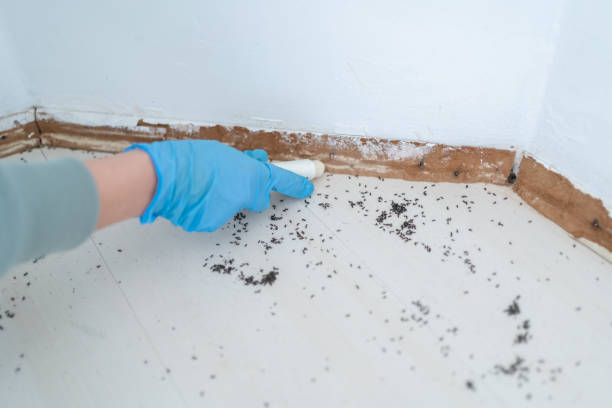 Best Commercial Pest Control Services  in Elwood, KS