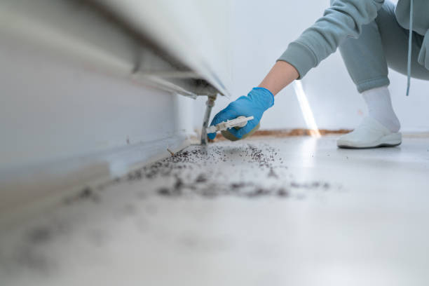 Insect Control in Elwood, KS